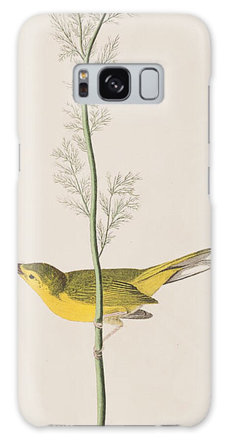 Hooded Warbler Galaxy Case featuring the painting Hooded Warbler by John James Audubon