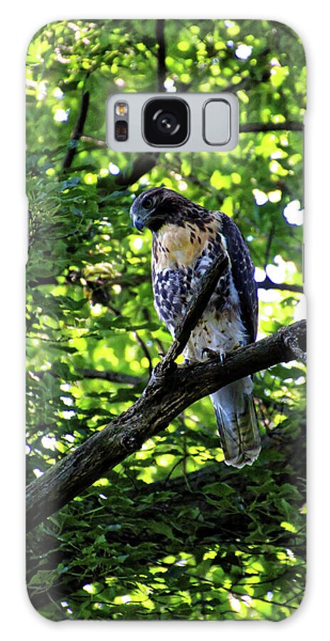 Hawk Galaxy Case featuring the photograph I See You by Doolittle Photography and Art