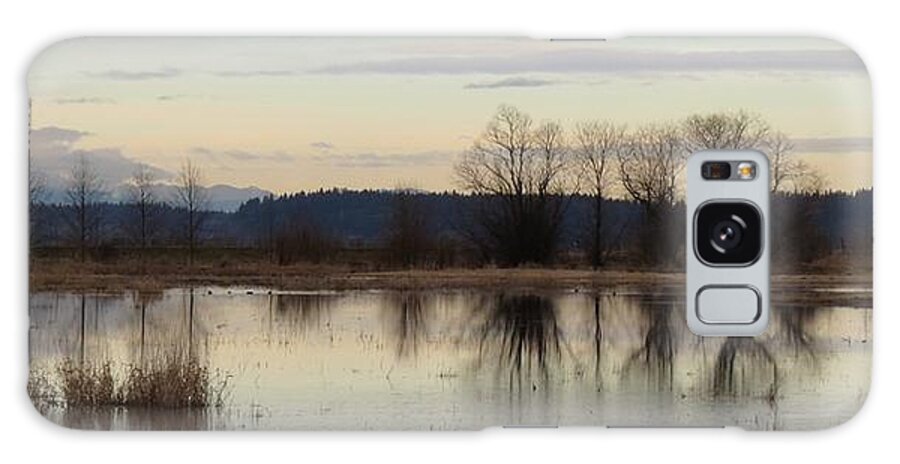 Wetland Reflections Galaxy S8 Case featuring the photograph January Thaw 2 #1 by I'ina Van Lawick