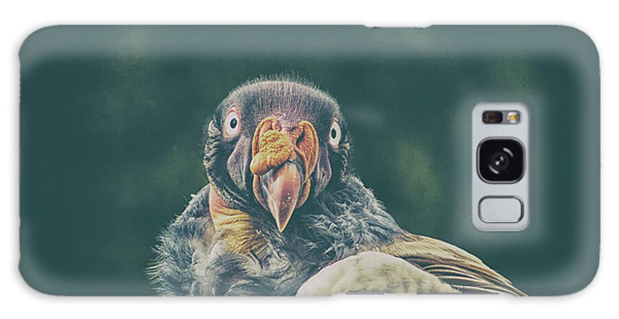 Bird Galaxy Case featuring the photograph King Vulture #1 by Martin Newman