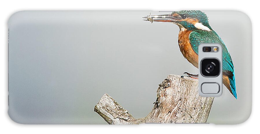 Kingfisher Galaxy Case featuring the photograph Kingfisher #1 by Paul Neville