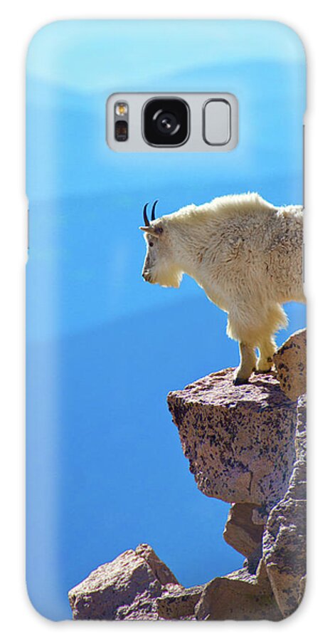 America Galaxy Case featuring the photograph Living On The Edge #1 by John De Bord