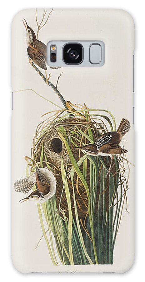 Nest Galaxy Case featuring the painting Marsh Wren by John James Audubon