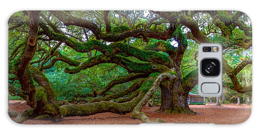 Angel Oak Galaxy Case featuring the photograph Old Southern Live Oak #1 by David Smith
