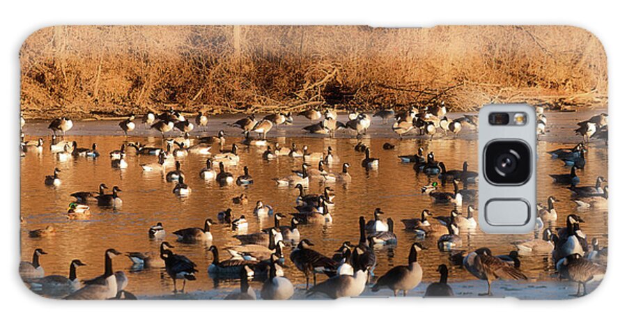 Winter Scene Galaxy Case featuring the photograph Open Water #1 by Ed Peterson