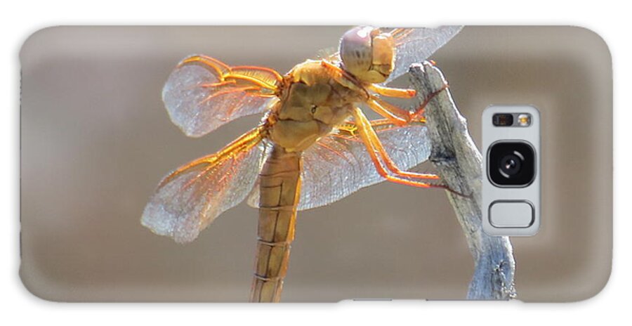 Orange Galaxy S8 Case featuring the photograph Dragonfly 5 by Christy Garavetto