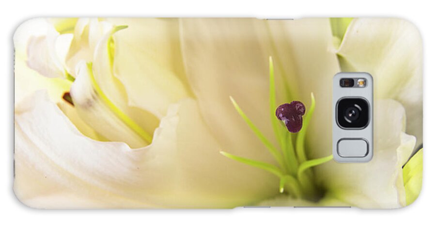 Alive Galaxy Case featuring the photograph Oriental Lily Flower by Raul Rodriguez