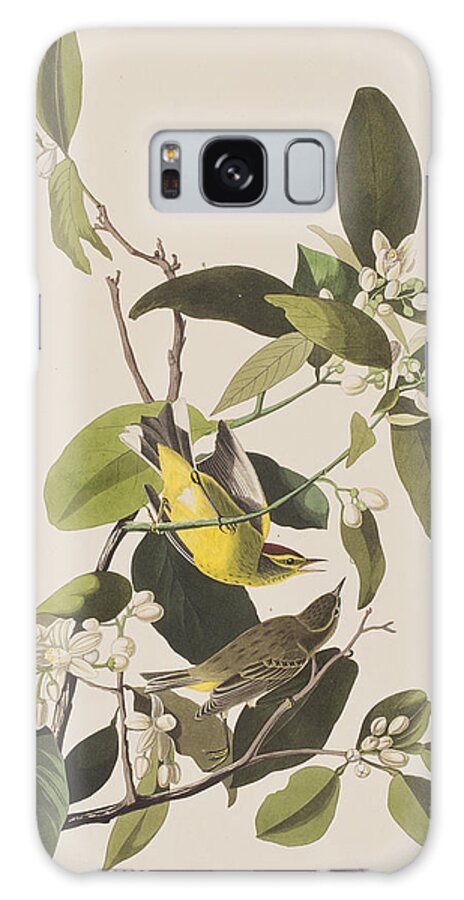 Warbler Galaxy Case featuring the painting Palm Warbler by John James Audubon