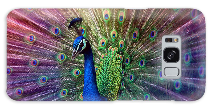 Beauty Galaxy Case featuring the photograph Peacock by Hannes Cmarits