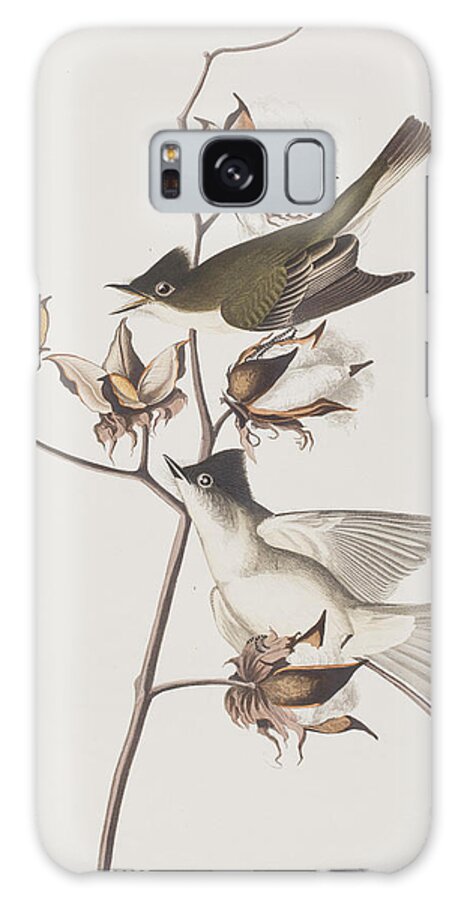 Pewit Flycatcher Galaxy Case featuring the painting Pewit Flycatcher by John James Audubon