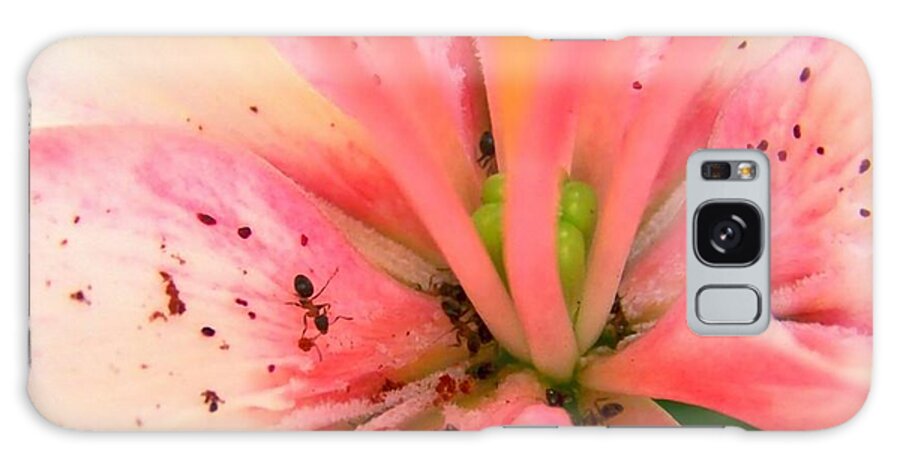 Flower Galaxy Case featuring the photograph Pink Flower #1 by Sylvie Leandre