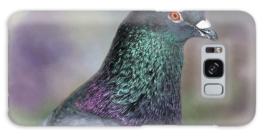 Pigeon Galaxy Case featuring the photograph Pretty Boy #1 by Donna Kennedy