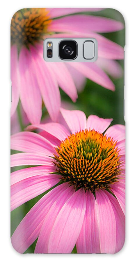 Echinacea Galaxy Case featuring the photograph Purple Coneflower #1 by Jim Hughes