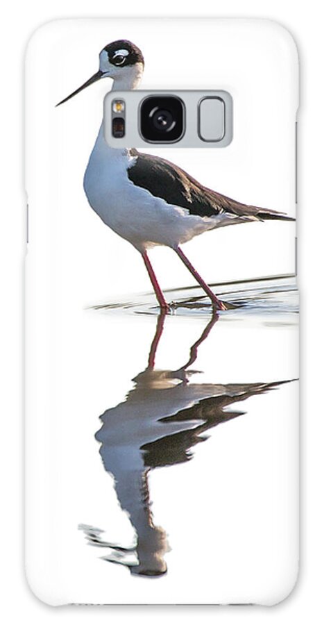 Black-necked-stilt Galaxy Case featuring the photograph Reflections #1 by Bruce Bonnett