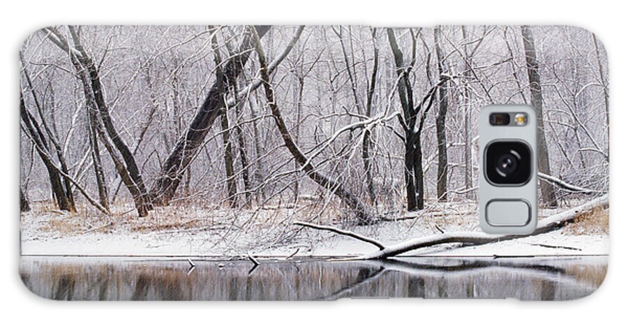 Photography Galaxy Case featuring the photograph Snow On Trees #1 by Panoramic Images