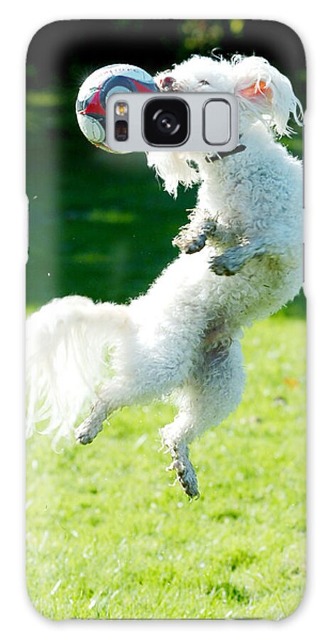 Soccer Galaxy Case featuring the photograph Soccer dog-6 #1 by Steve Somerville