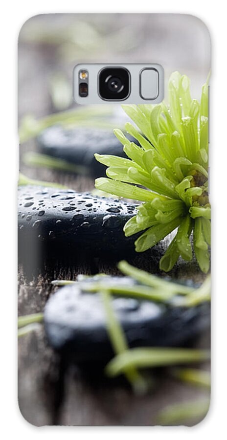 Alternative Galaxy S8 Case featuring the photograph Stones with water drops #1 by Kati Finell