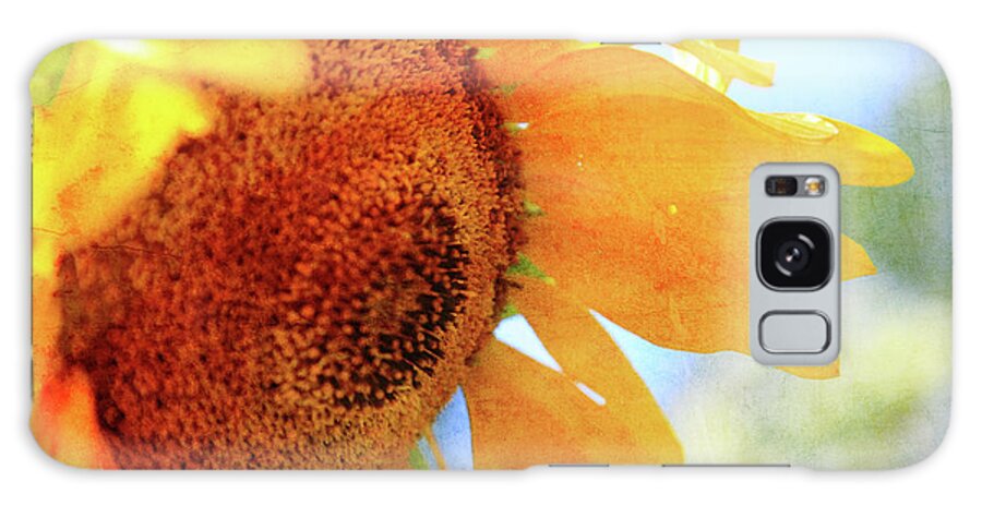 Sunflower Galaxy Case featuring the photograph Sunflower drops #2 by Toni Hopper