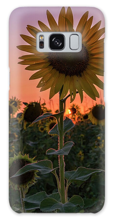 Sunset Galaxy S8 Case featuring the photograph Sunset by Holly Ross