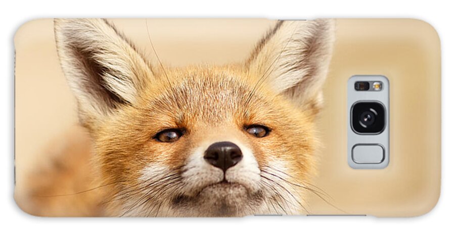 Fox Galaxy Case featuring the photograph That Foxy Face #1 by Roeselien Raimond