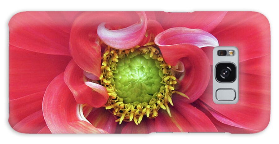 Photograph Of Dahlia Galaxy Case featuring the photograph The Dahlia #1 by Gwyn Newcombe
