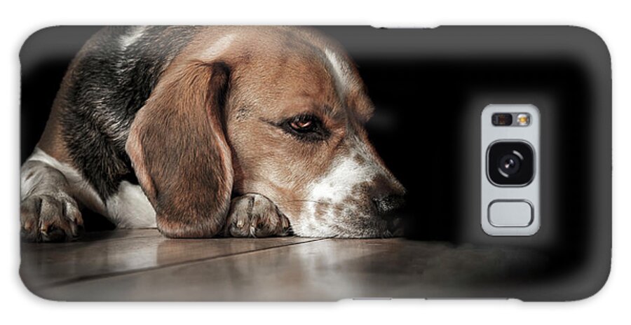Beagle Galaxy Case featuring the photograph The Day Dreamer by Paul Neville