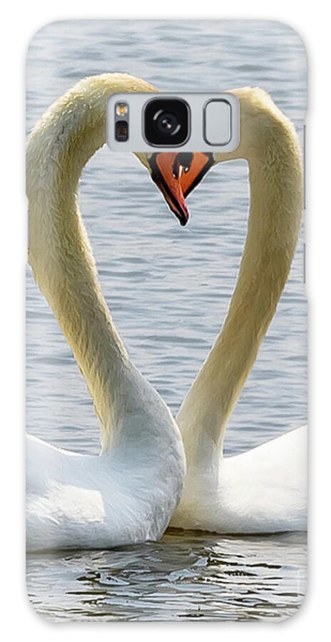 Wildlife Galaxy Case featuring the photograph Two swans and a heart #1 by Colin Rayner