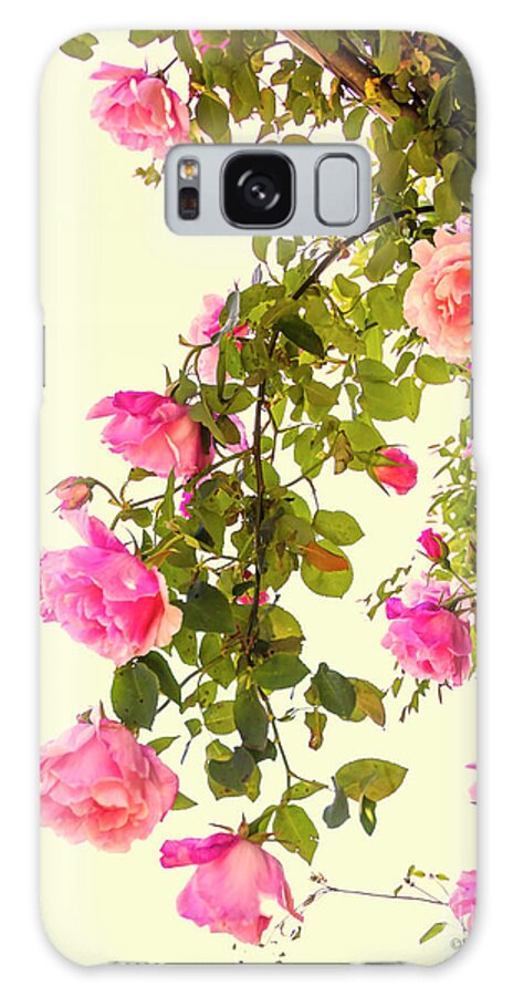 Roses Galaxy Case featuring the photograph Vintage Roses #1 by Elaine Teague