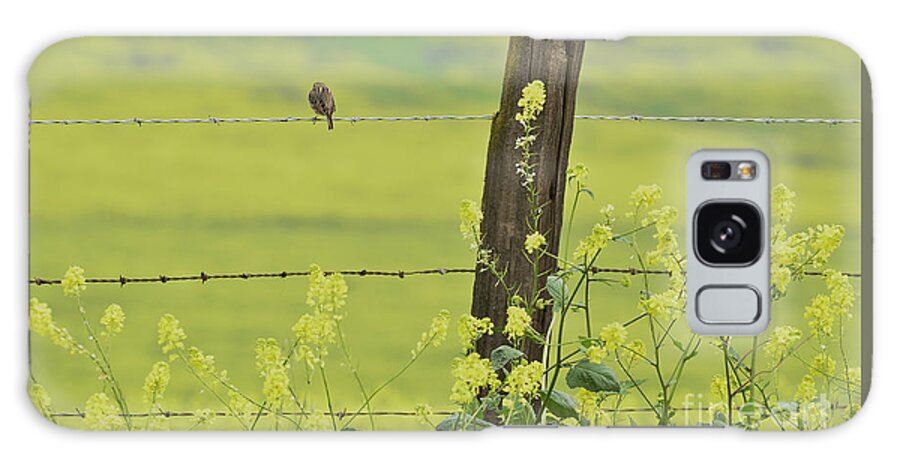 Fence Post Galaxy Case featuring the photograph Warbler in the Meadow by Debby Pueschel