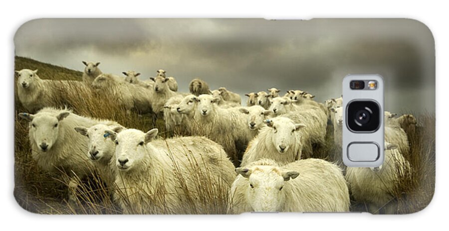 Sheep Galaxy Case featuring the photograph Welsh lamb #1 by Ang El
