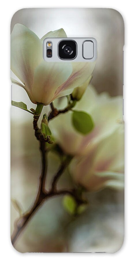 Magnolia Galaxy Case featuring the photograph White magnolia #1 by Jaroslaw Blaminsky
