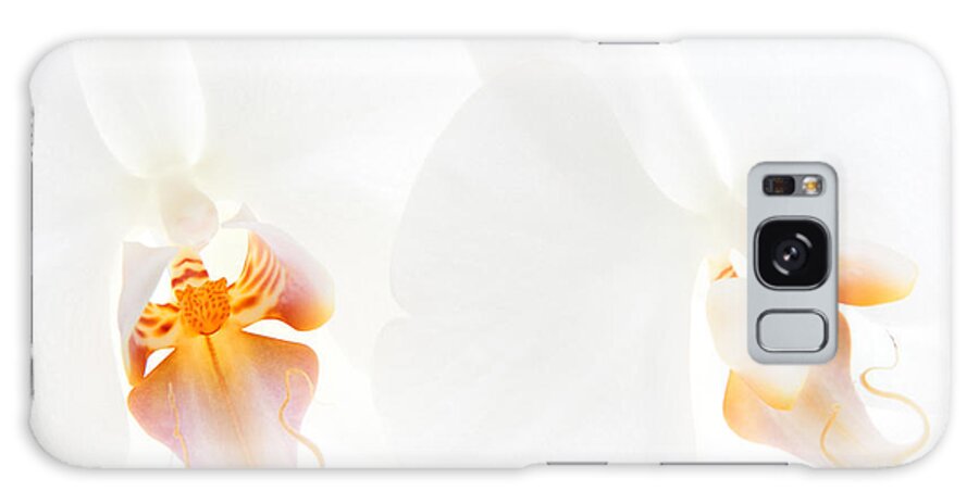 White Orchid Galaxy Case featuring the photograph White Orchids #1 by Ann Garrett