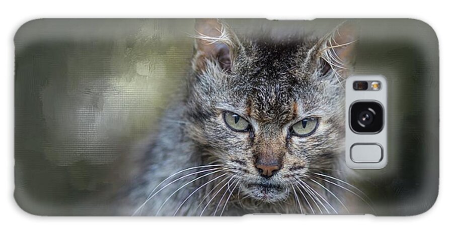 Wild Cat Galaxy Case featuring the photograph Wild Cat Portrait #2 by Eva Lechner