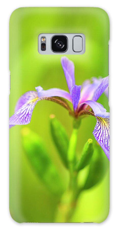 Wild Iris Galaxy Case featuring the photograph Wild Iris #1 by Nancy Dunivin