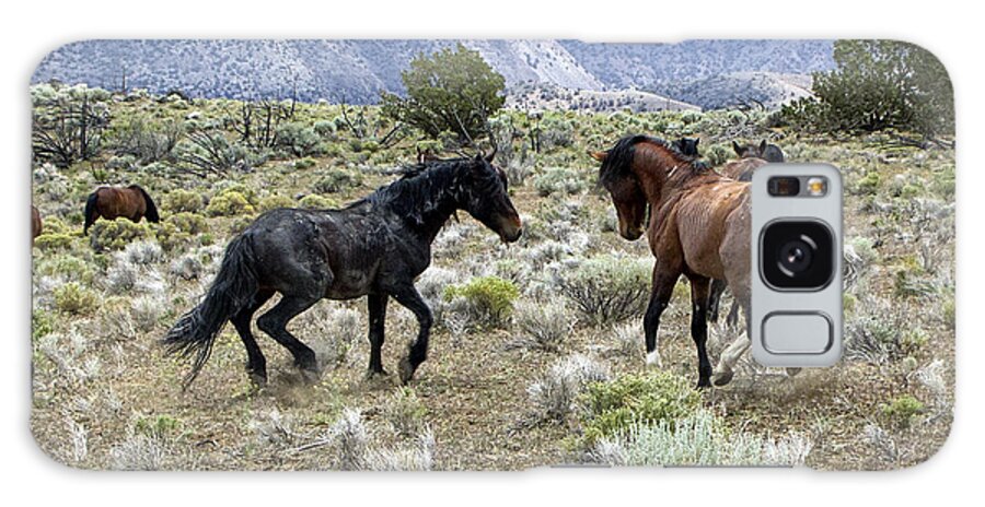Horses Galaxy S8 Case featuring the photograph Wild Mustang Stallions Fighting #1 by Waterdancer 