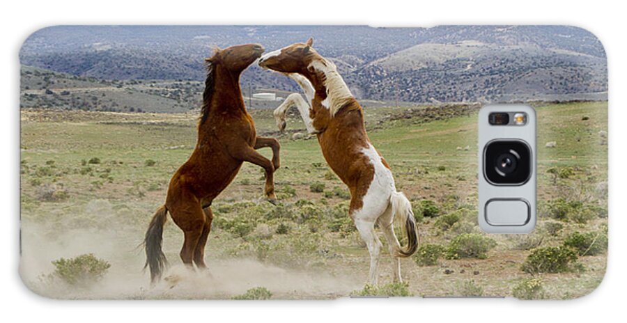 Horses Galaxy Case featuring the photograph Wild Mustang Stallions Sparring by Waterdancer 