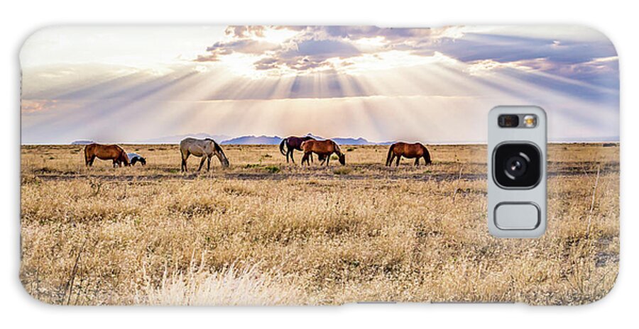 Mustangs Galaxy Case featuring the photograph Wild Mustangs Roam the Desert #1 by Scott Law