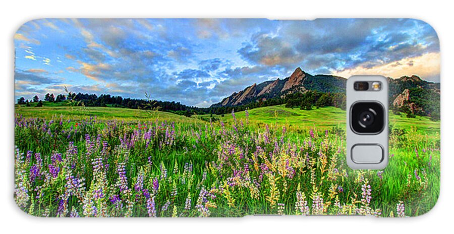 Wildflowers Galaxy Case featuring the photograph Wildflower Wonder #1 by Scott Mahon