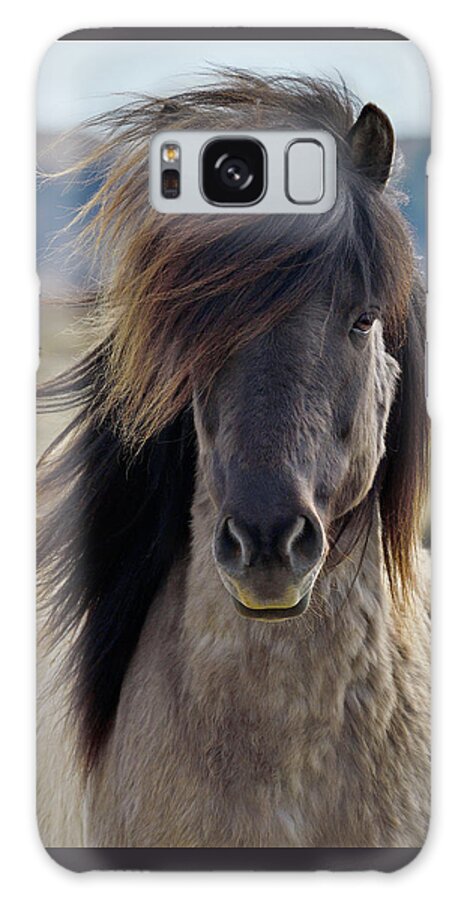 Icelandic Horse Galaxy Case featuring the photograph Wind Blown #2 by Tony Beck