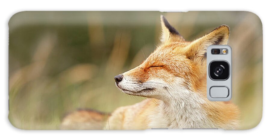 Red Fox Galaxy Case featuring the photograph Zen Fox Series - Chill Fox #1 by Roeselien Raimond