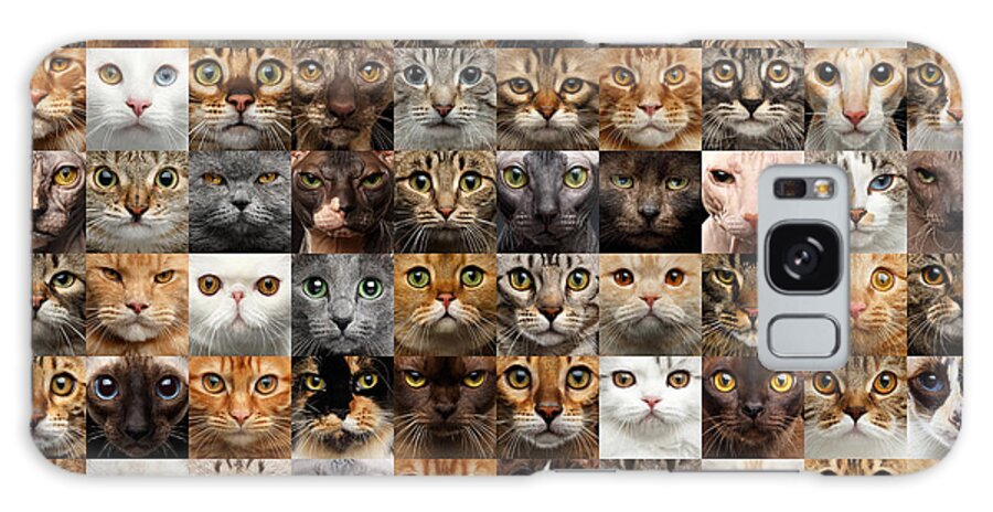 100 Galaxy Case featuring the photograph 100 Cat faces by Sergey Taran