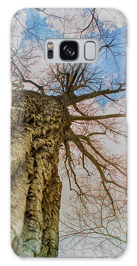 Tree Galaxy Case featuring the photograph 10913 I Am Groot by Pamela Williams