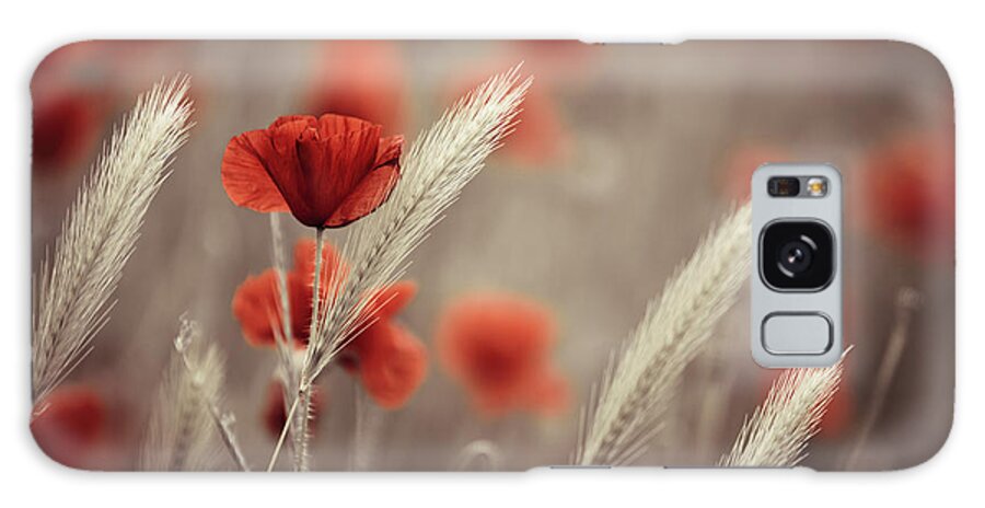 Poppy Galaxy Case featuring the photograph Summer Poppy Meadow by Nailia Schwarz