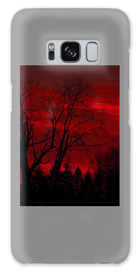 Sunset Galaxy S8 Case featuring the photograph 120311-38 by Mike Davis