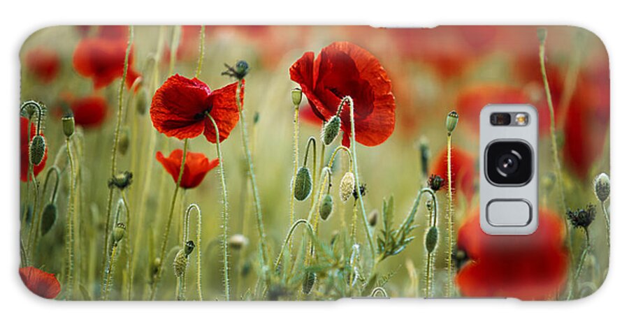 Poppy Galaxy Case featuring the photograph Summer Poppy Meadow #13 by Nailia Schwarz