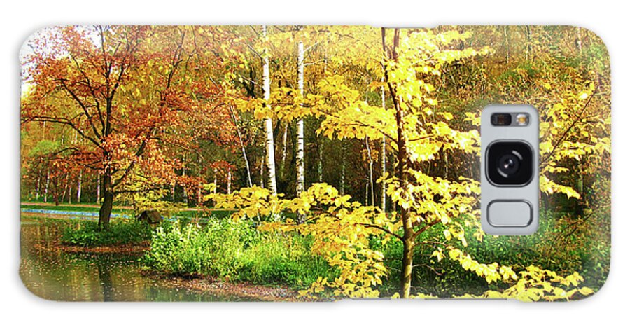 Autumn Galaxy Case featuring the photograph Autumn landscape #15 by Irina Afonskaya