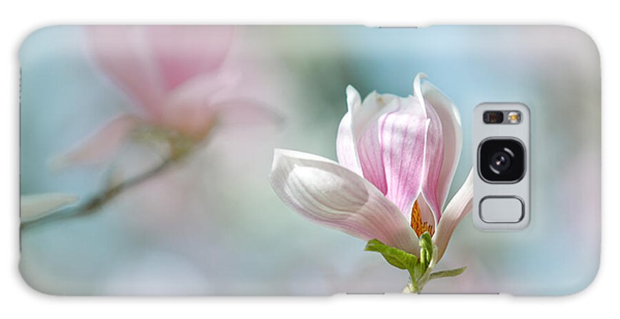 Magnolia Galaxy Case featuring the photograph Magnolia Flowers #17 by Nailia Schwarz