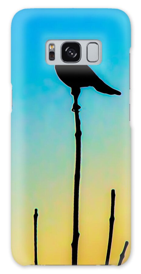  Galaxy Case featuring the photograph Worlds End #19 by David Henningsen