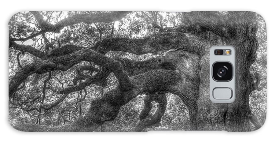 Angel Oak Galaxy Case featuring the photograph Angel Oak Tree Charleston SC #2 by Dustin K Ryan