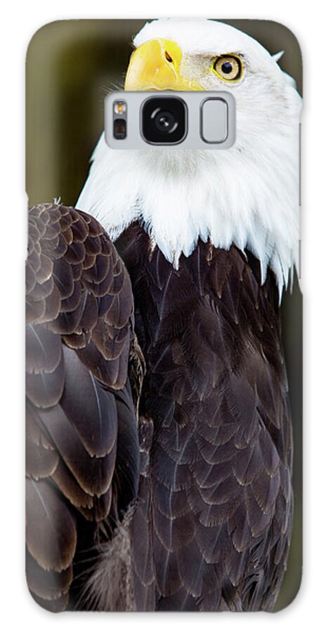 Bird Galaxy Case featuring the digital art Bald Eagle #2 by Birdly Canada